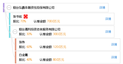 區(qū)分非融資性與融資性擔(dān)保 以煙臺弘鑫為例解讀擔(dān)保行業(yè)分類