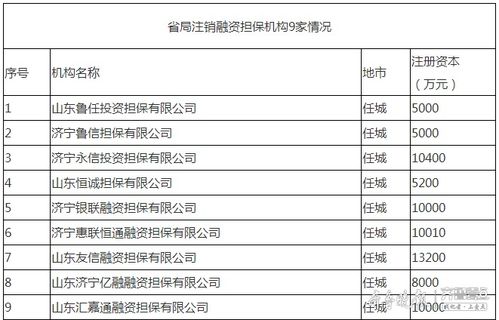 濟寧9家融資擔保機構退出市場，行業規范再升級